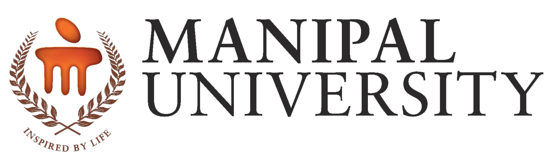 amity university logo